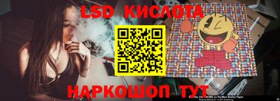 стафф Камышлов