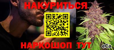 стафф Камышлов