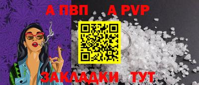 стафф Камышлов