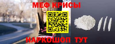 стафф Камышлов